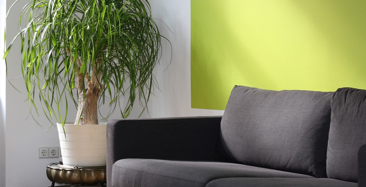 Coaching en perte de poids avec Sara Tadlaoui, nutritionniste à Casablanca